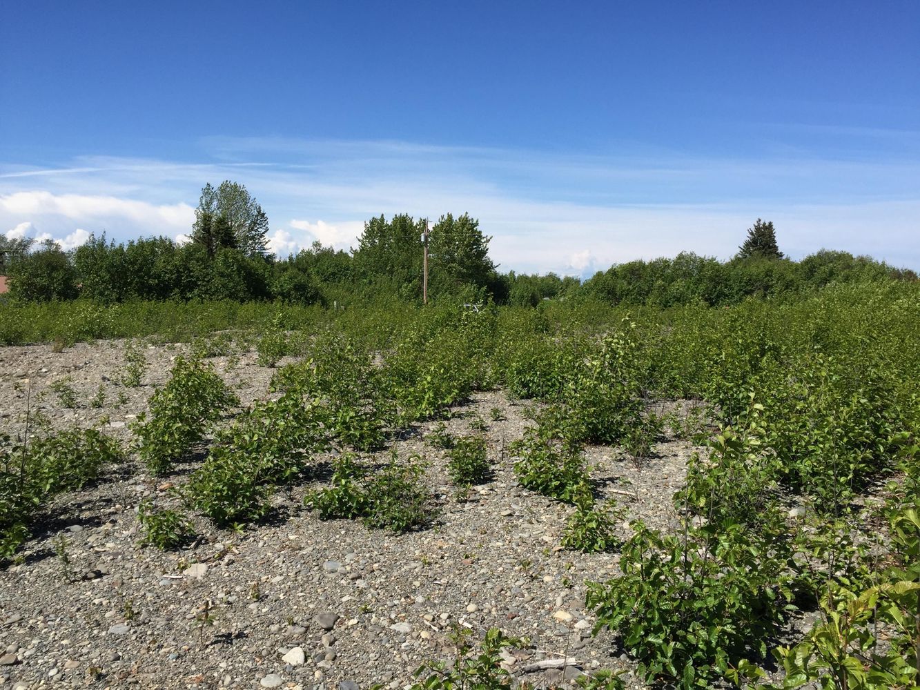 66417 Alder Ave, Ninilchik, AK 99639